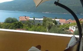 Apartments Savic