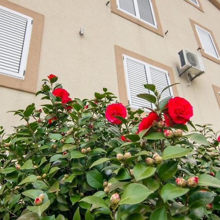 Apartments Savic Herceg Novi Exterior photo